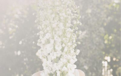 Blog Post #1